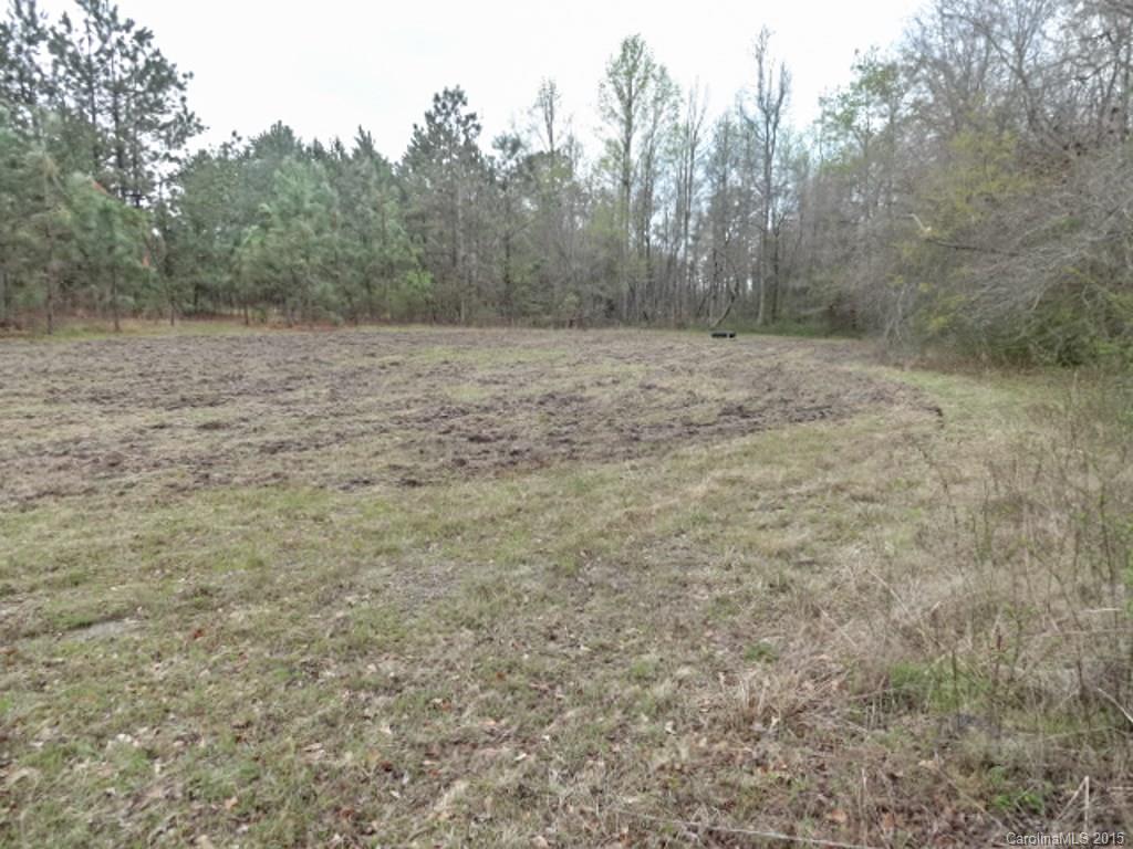 1318 Sycamore Road Mount Croghan, SC 29727 - Photo 24 of 24