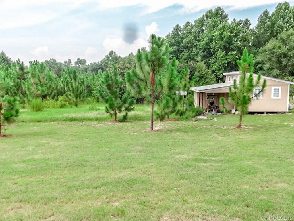 1318 Sycamore Road Mount Croghan, SC 29727 - Photo 10 of 24