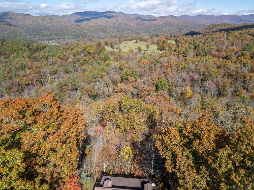 130 Knob Hl Road Marble, NC 28905 - Photo 4 of 28