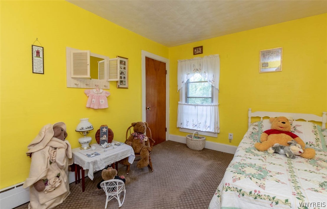 2841 County Line Road Ridgeway, NY 14105 - Photo 18 of 50