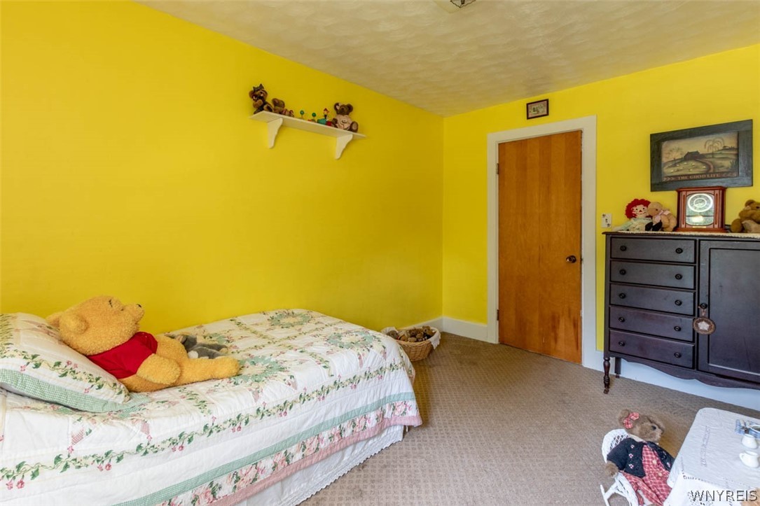 2841 County Line Road Ridgeway, NY 14105 - Photo 19 of 50