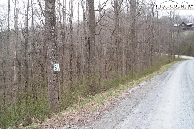 $27,930 | Lot 54 Toms Knob Road, Sparta, NC 28675