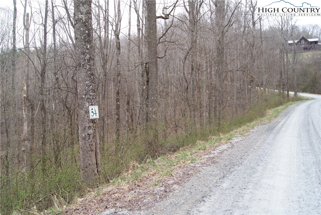 Lot 54 Toms Knob Road Sparta, NC 28675 - Photo 1 of 5