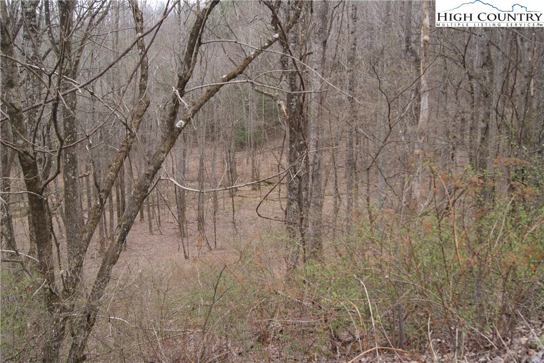 Lot 54 Toms Knob Road Sparta, NC 28675 - Photo 2 of 5