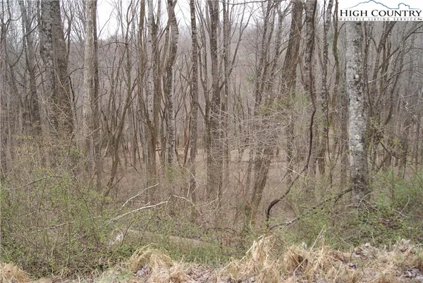 $27,930 | Lot 54 Toms Knob Road, Sparta, NC 28675
