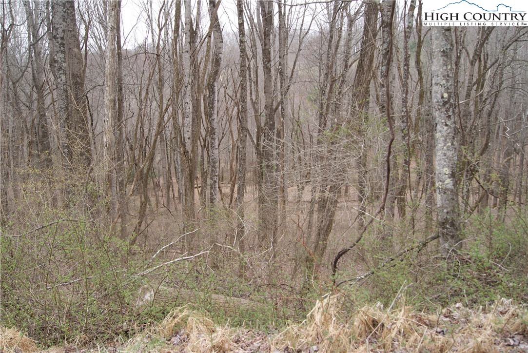 Lot 54 Toms Knob Road Sparta, NC 28675 - Photo 3 of 5