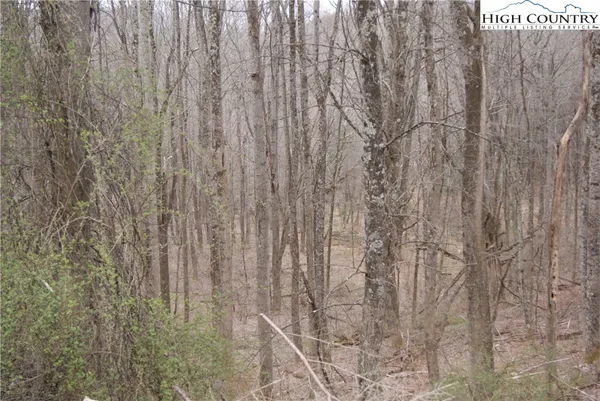 $27,930 | Lot 54 Toms Knob Road, Sparta, NC 28675