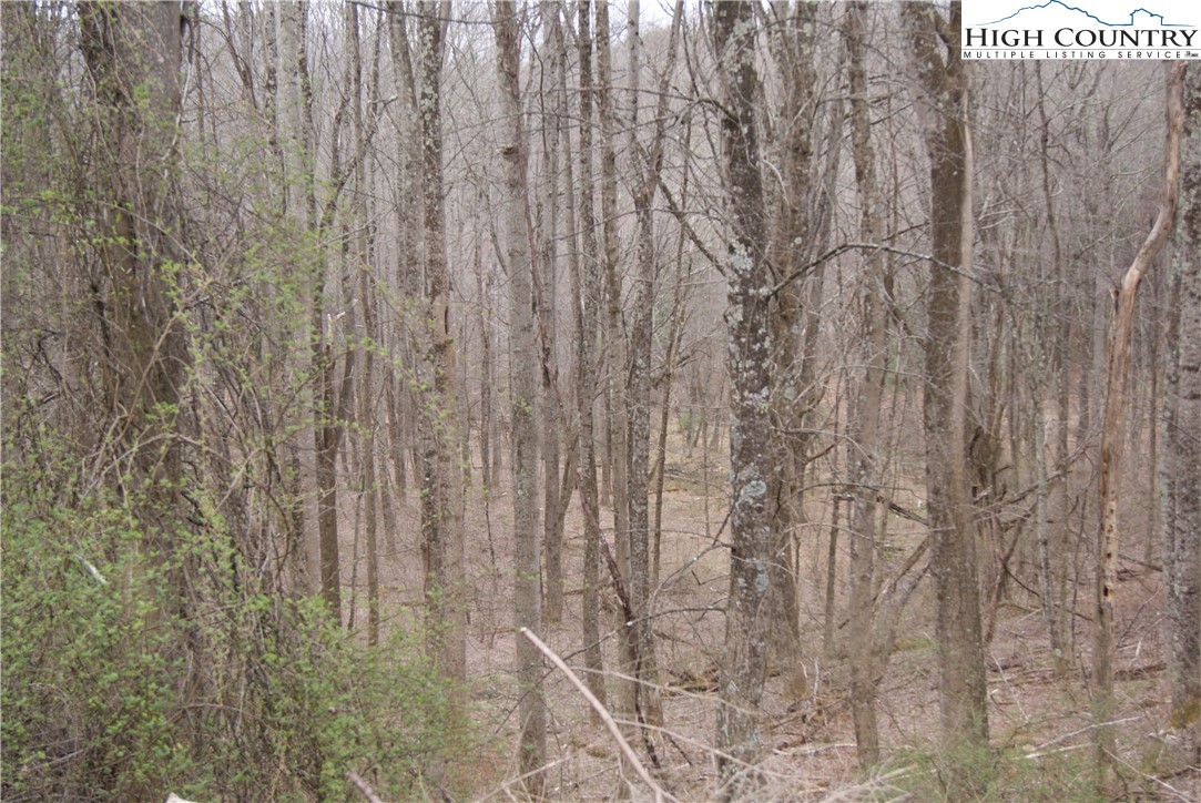Lot 54 Toms Knob Road Sparta, NC 28675 - Photo 4 of 5