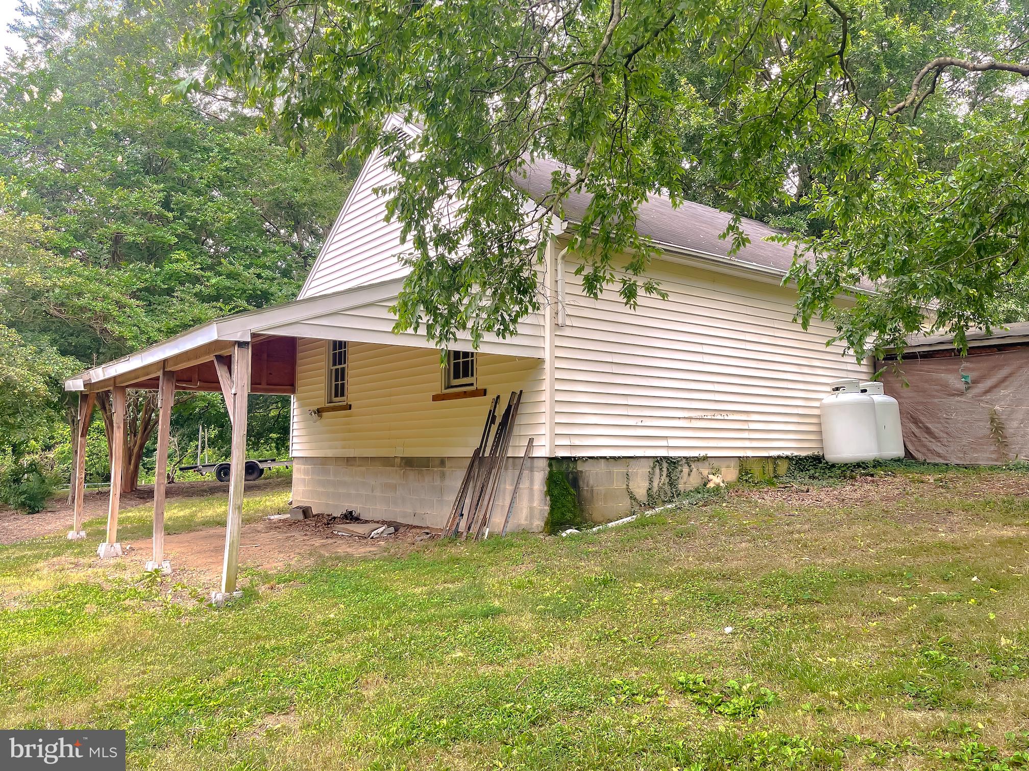 159 West Bay Front Road Lothian, MD 20711 - Photo 54 of 64 a view of a backyard with a large tree