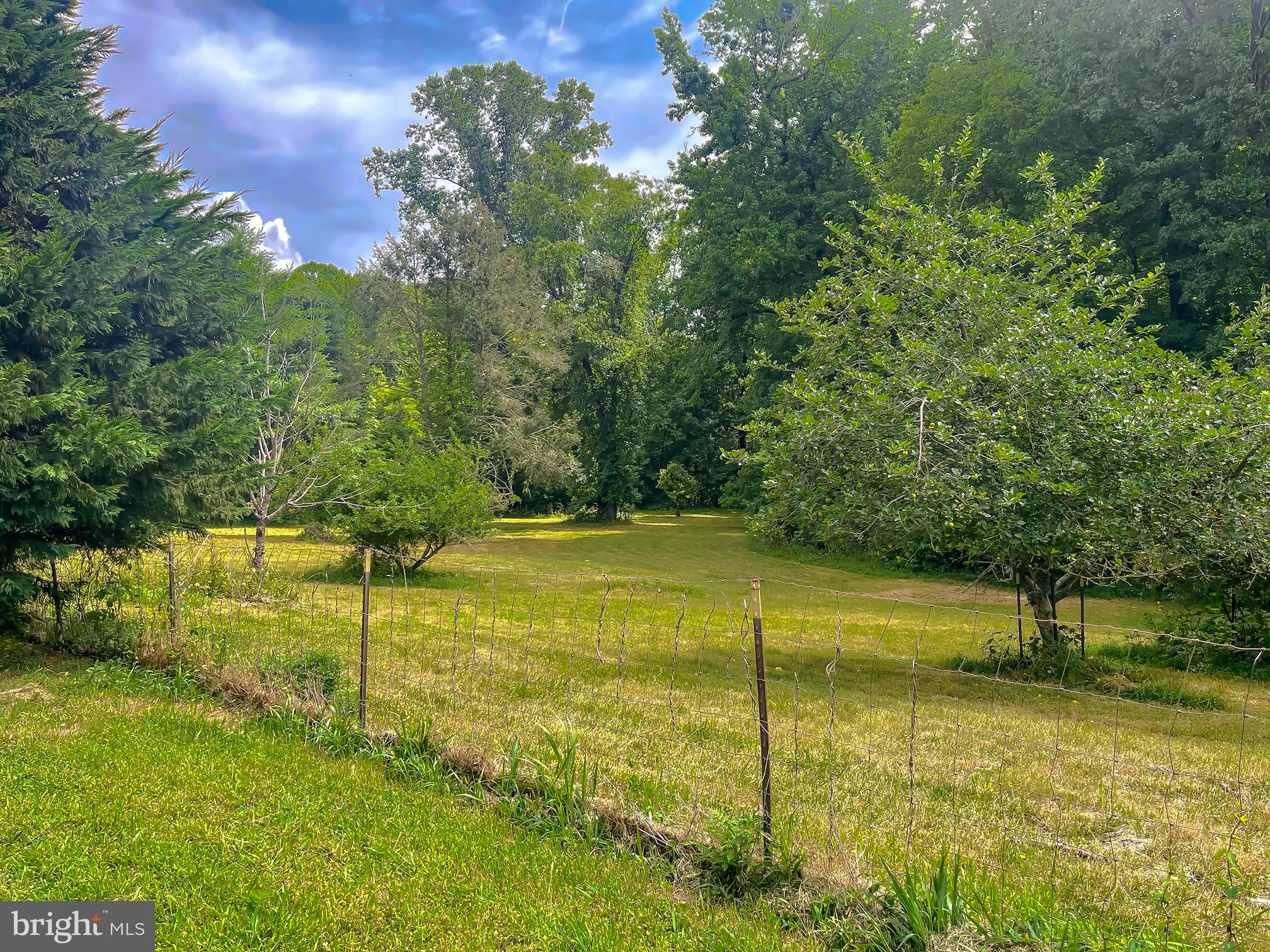159 West Bay Front Road Lothian, MD 20711 - Photo 59 of 64