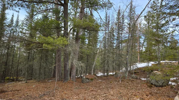 $299,000 | 7316 Crane Lake Road, Crane Lake, MN 55725