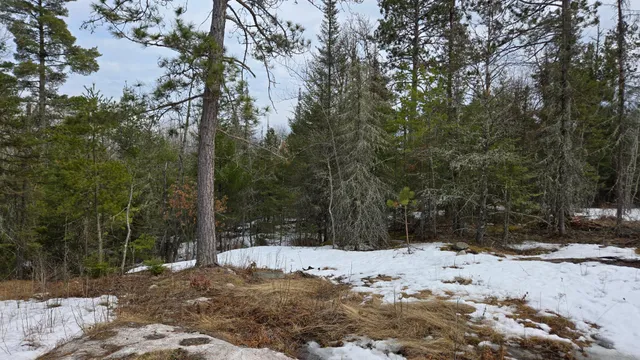 $299,000 | 7316 Crane Lake Road, Crane Lake, MN 55725