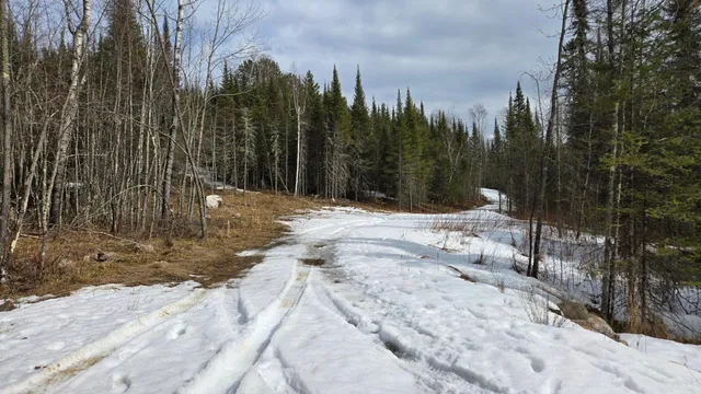 $299,000 | 7316 Crane Lake Road, Crane Lake, MN 55725