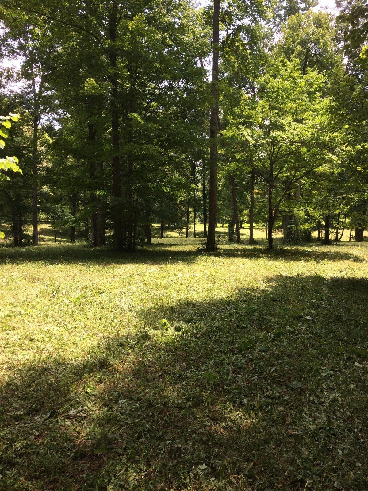 1700 Green Ford Road Monticello, KY 42633 - Photo 9 of 31 20220219031710952788000000-o
