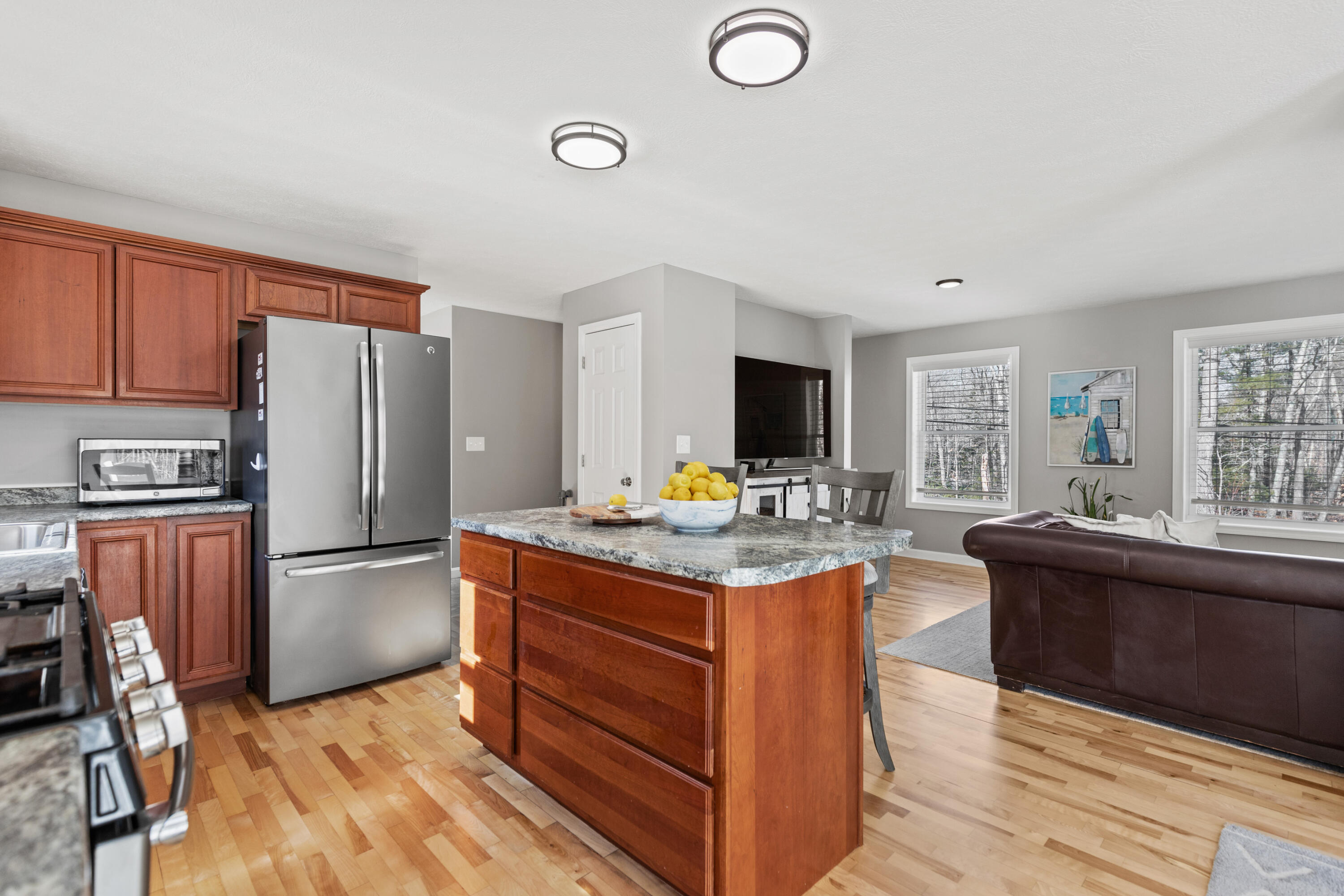 161 Heath Road Saco, ME 04072 - Photo 4 of 44 161 Heath Saco_008