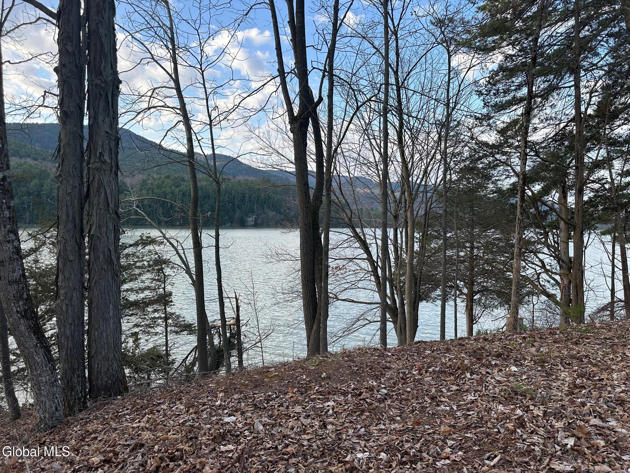 153 South Bay Road Dresden, NY 12819 - Photo 30 of 31 IMG_0028 (6)