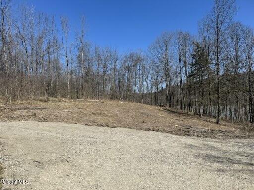 153 South Bay Road Dresden, NY 12819 - Photo 10 of 31 IMG_0077