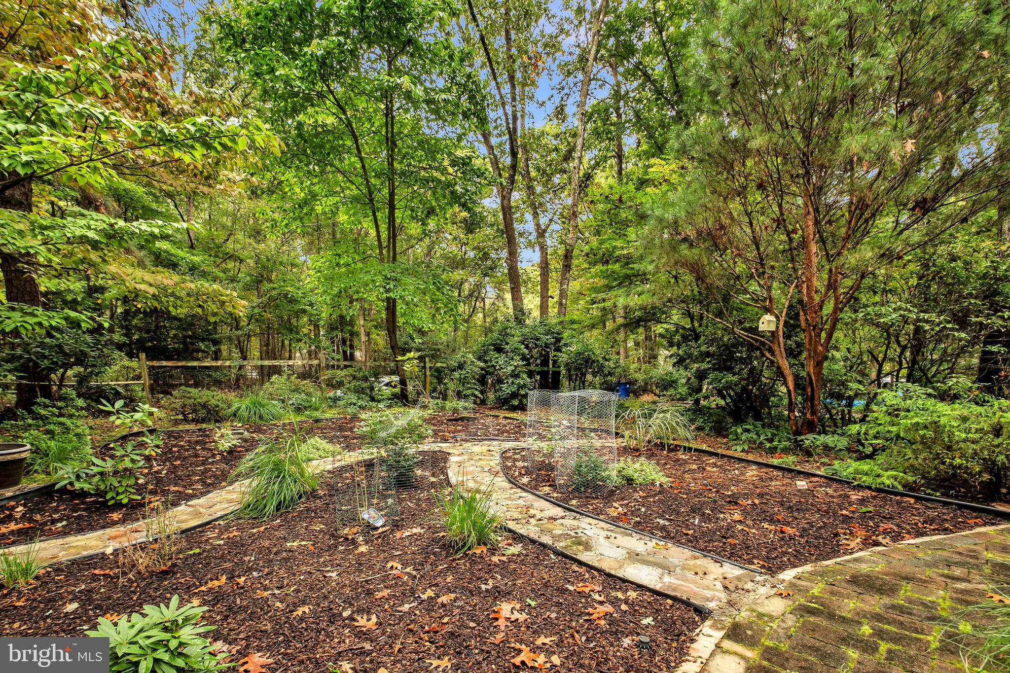 6 Dickson Drive Medford, NJ 08055 - Photo 63 of 64 Front Gardens