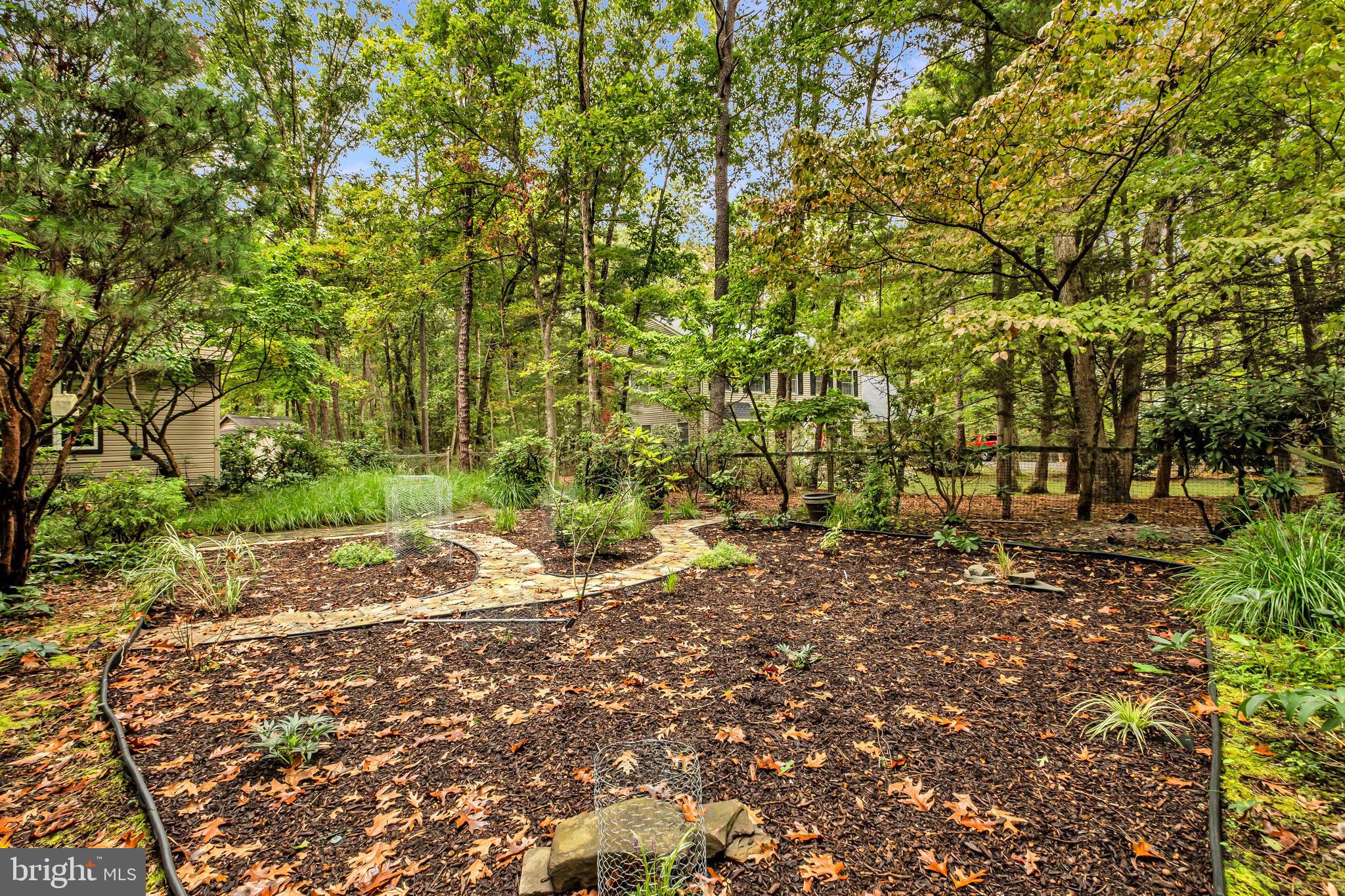 6 Dickson Drive Medford, NJ 08055 - Photo 64 of 64 Front Gardens