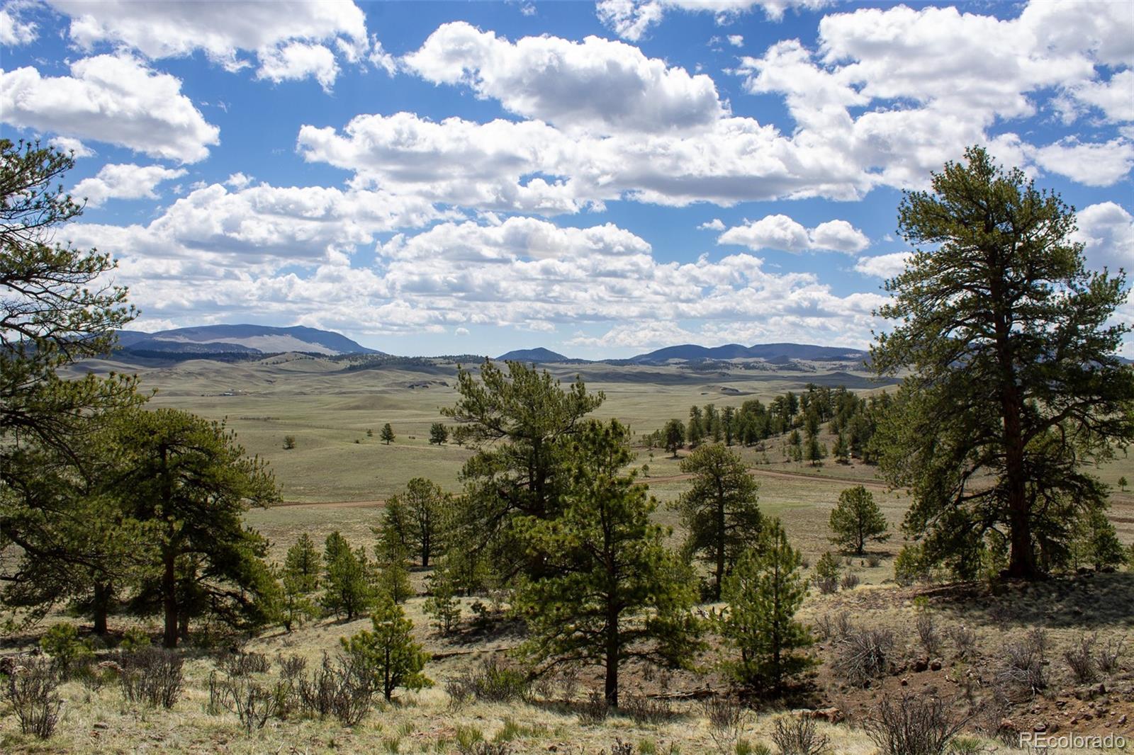 Black Beaver Rd/keechi Road Hartsel, CO 80449 - Photo 10 of 28 a view of lake with mountain view