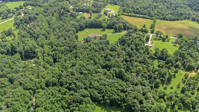 an aerial view of residential houses with outdoor space and trees