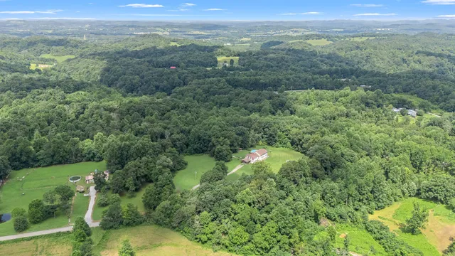 a view of a lush green forest with trees and some houses