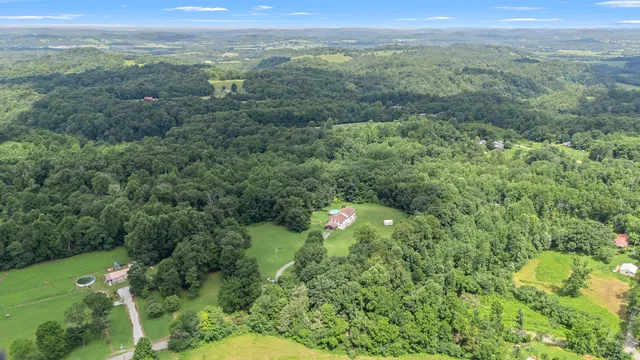 a view of a golf course with a tree