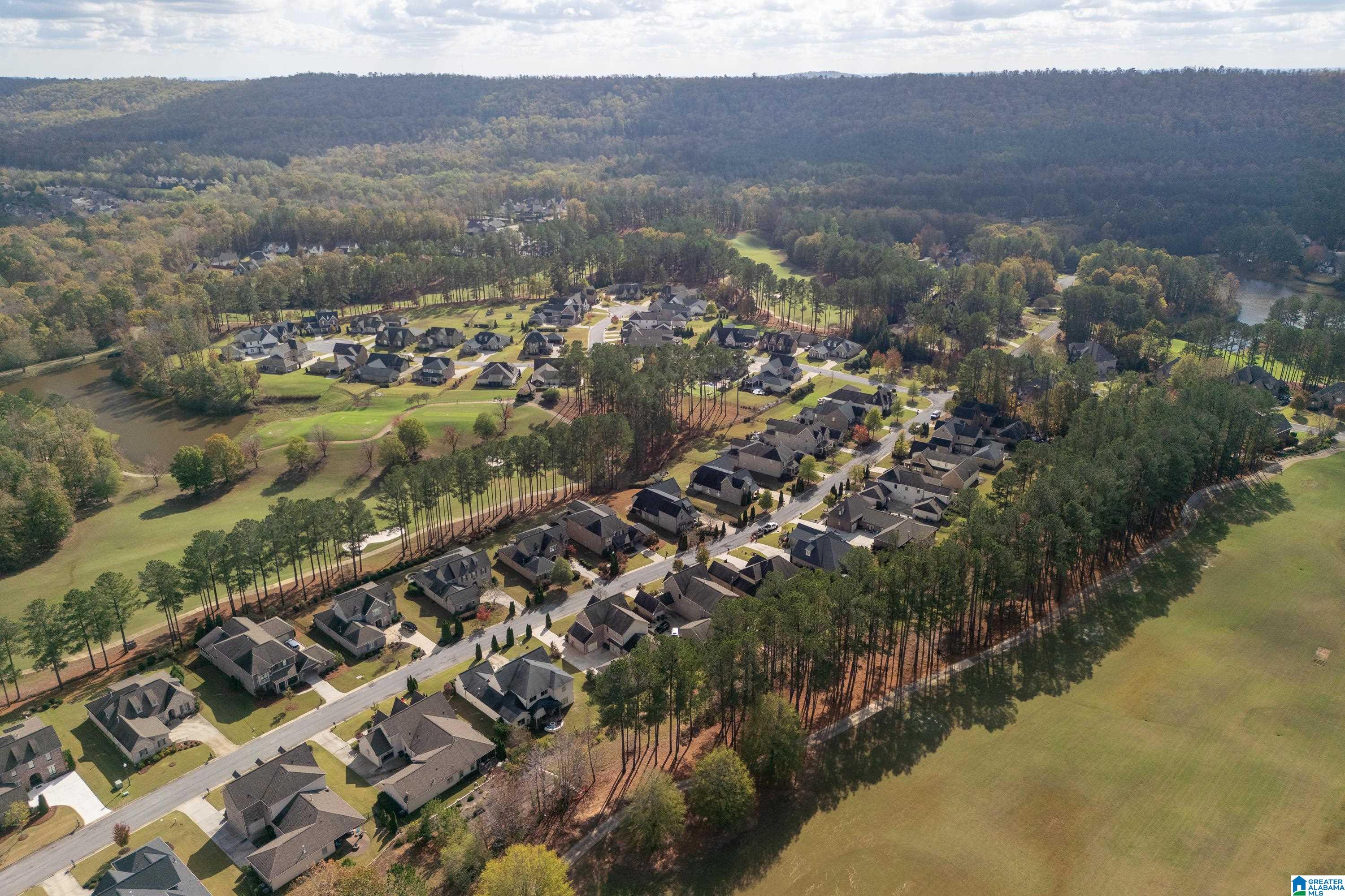 317 Kilkerran Lane Pelham, AL 35124 - Photo 67 of 83