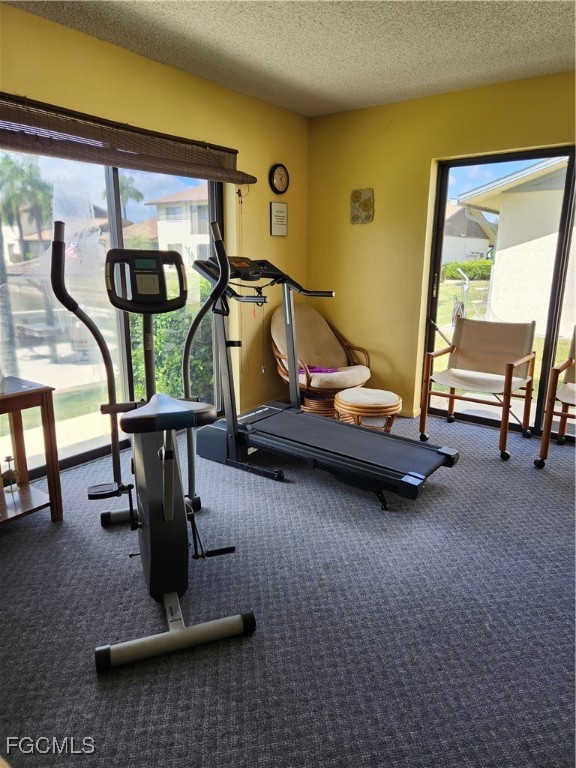 1420 Academy Boulevard, Unit 106 Cape Coral, FL 33990 - Photo 20 of 21 a view of a room with gym equipment