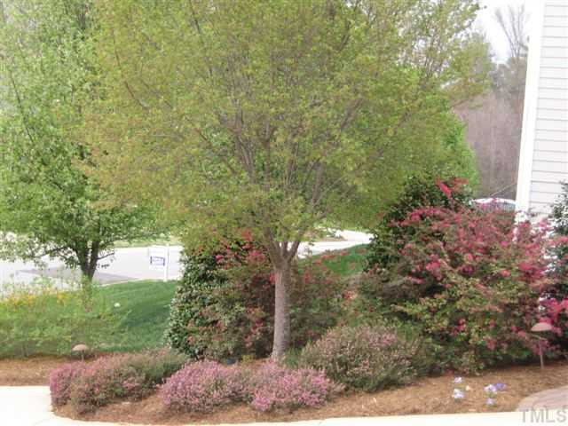 3913 Sterling Ridge Lane Durham, NC 27707 - Photo 17 of 20 More beautiful landscaping!!