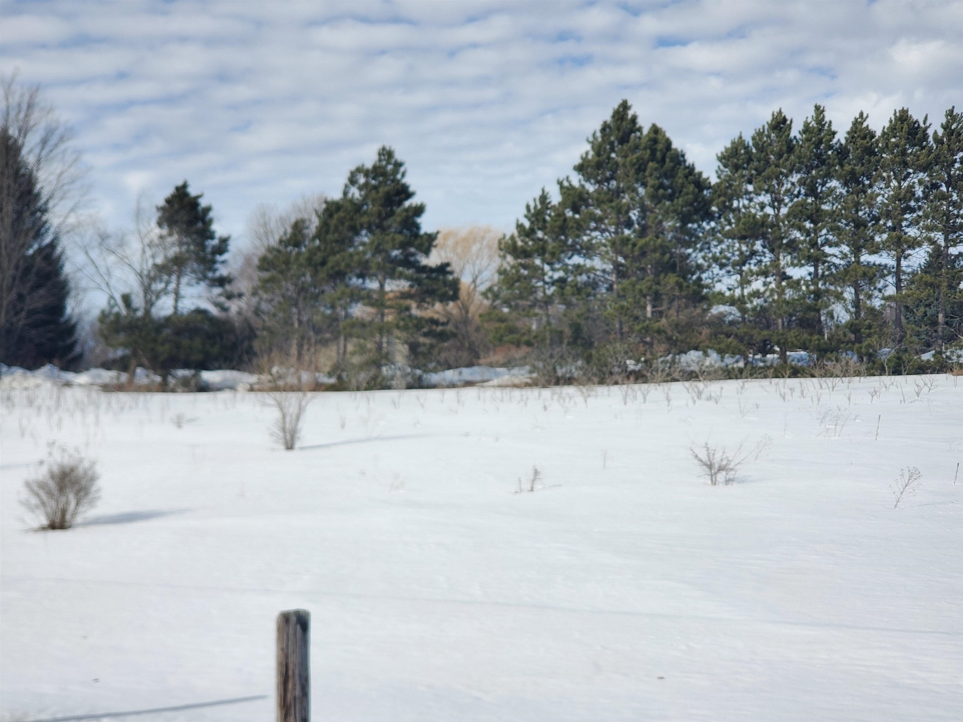 1 East Lincoln Road Cedar, MI 49621 - Photo 9 of 10