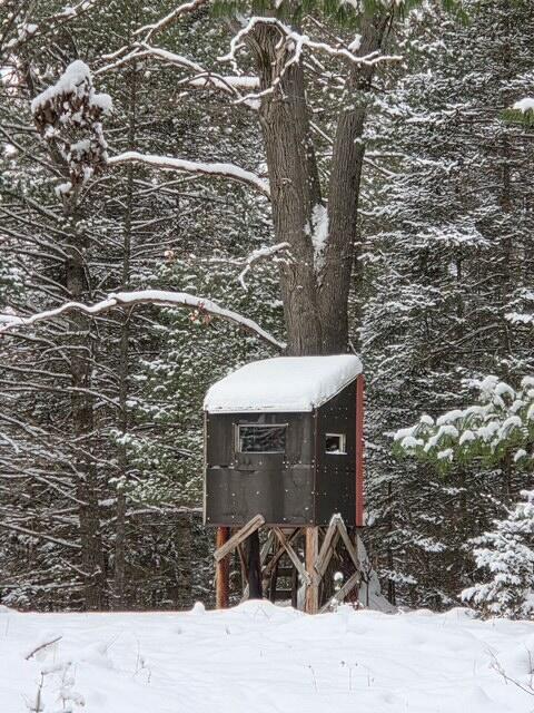 9606 Munger Road Afton, MI 49705 - Photo 41 of 44 arts blind
