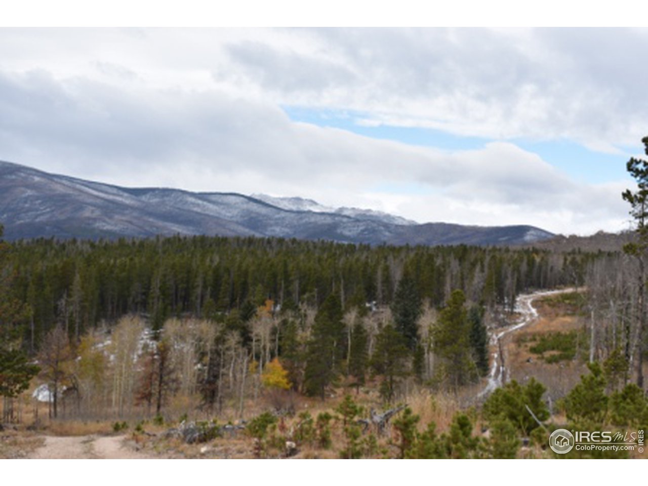 1500 Basking Dog Road Bellvue, CO 80512 - Photo 1 of 28 Towards RMNP