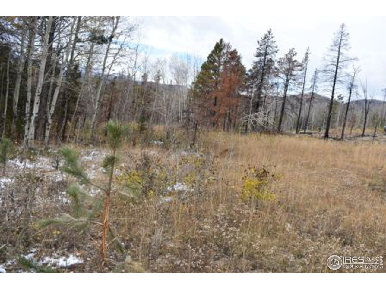 1500 Basking Dog Road Bellvue, CO 80512 - Photo 12 of 28 Gallery Image 12