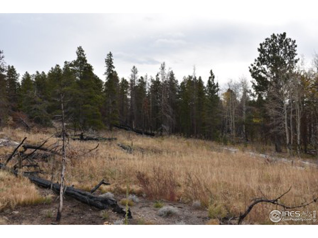 1500 Basking Dog Road Bellvue, CO 80512 - Photo 14 of 28 Gallery Image 14