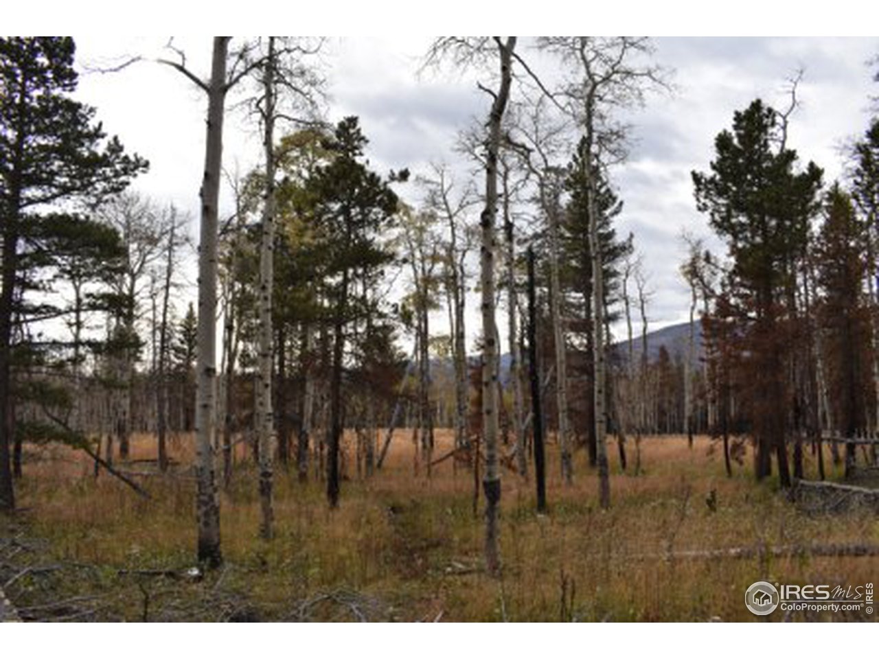 1500 Basking Dog Road Bellvue, CO 80512 - Photo 23 of 28 Gallery Image 23