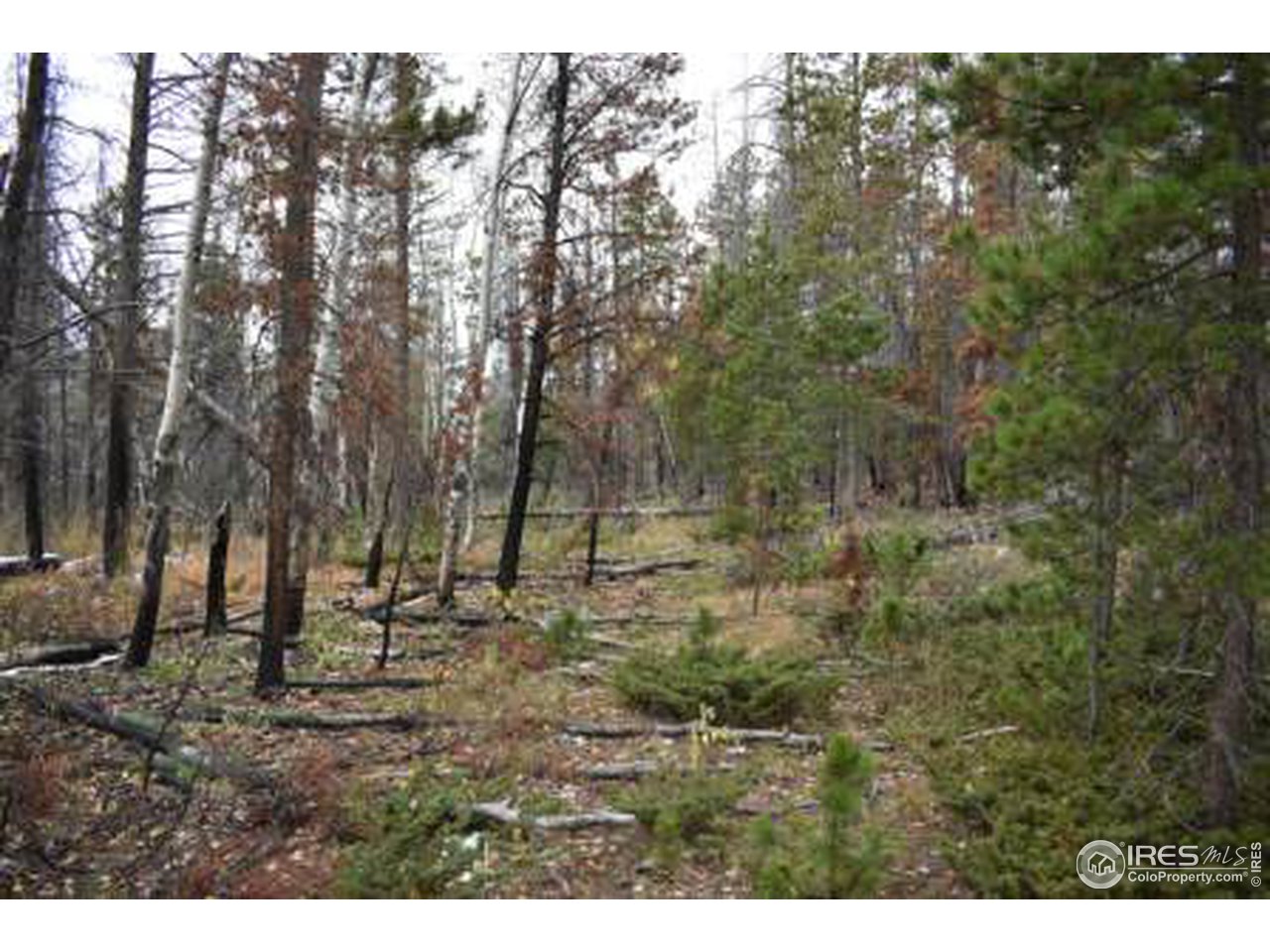 1500 Basking Dog Road Bellvue, CO 80512 - Photo 27 of 28 Gallery Image 27