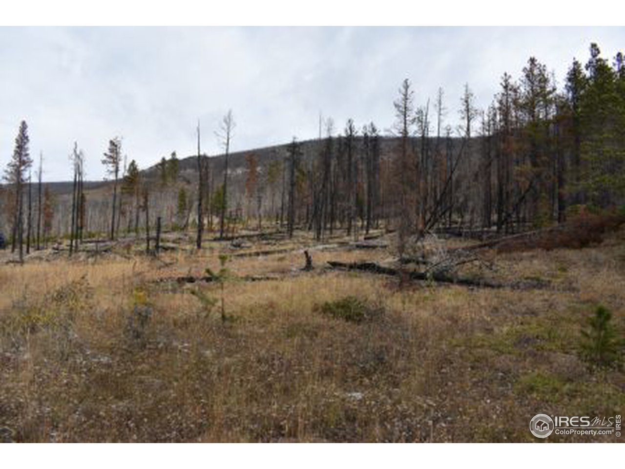1500 Basking Dog Road Bellvue, CO 80512 - Photo 28 of 28 Gallery Image 28
