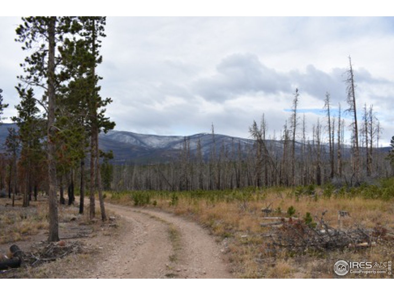 1500 Basking Dog Road Bellvue, CO 80512 - Photo 6 of 28 Gallery Image 6