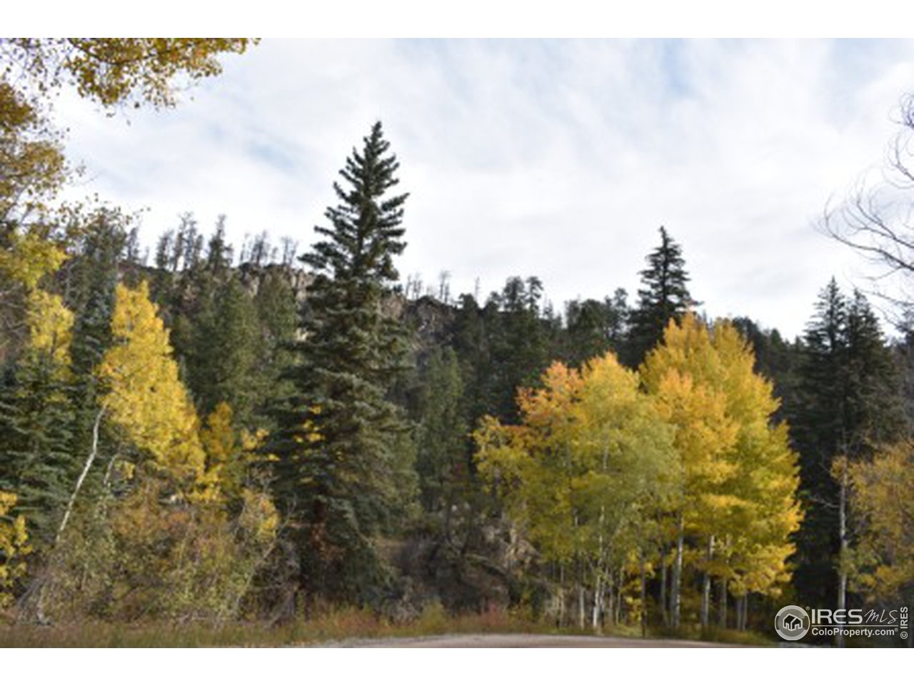 1500 Basking Dog Road Bellvue, CO 80512 - Photo 7 of 28 Gallery Image 7