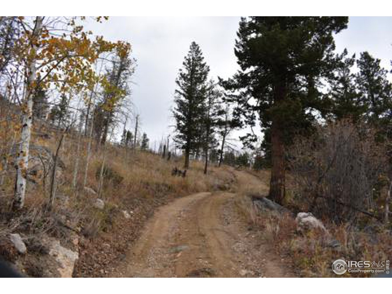 1500 Basking Dog Road Bellvue, CO 80512 - Photo 10 of 28 Gallery Image 10