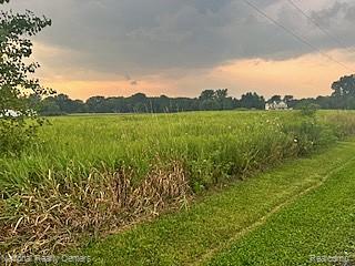 0 Vogt Road Fowlerville, MI 48836 - Photo 1 of 8