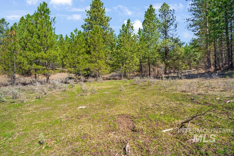 5 Sunset Trail Banks, ID 83602 - Photo 11 of 25 View of yard