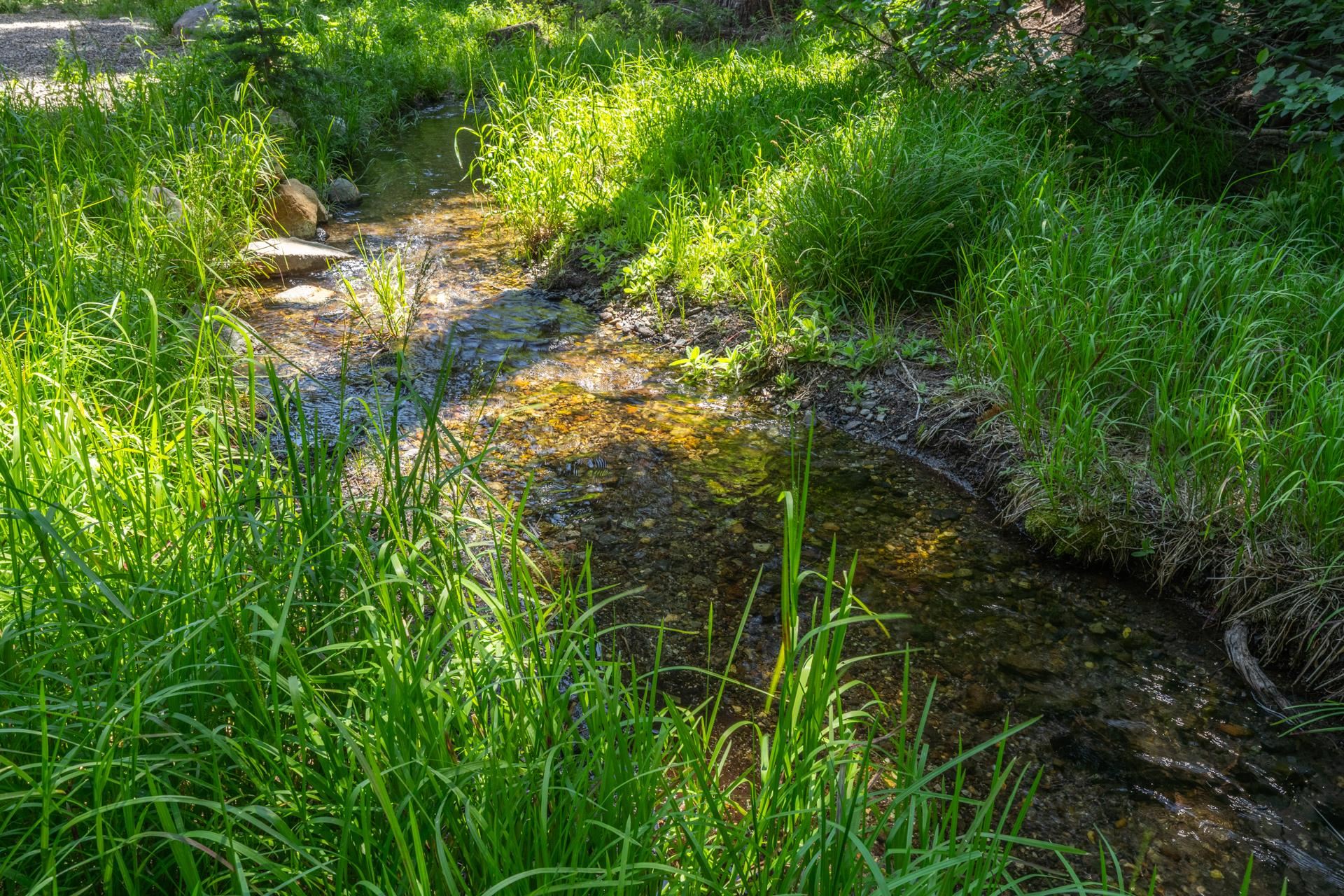 2281 Old Mammoth Road Mammoth Lakes, CA 93546 - Photo 6 of 27 View of local wilderness
