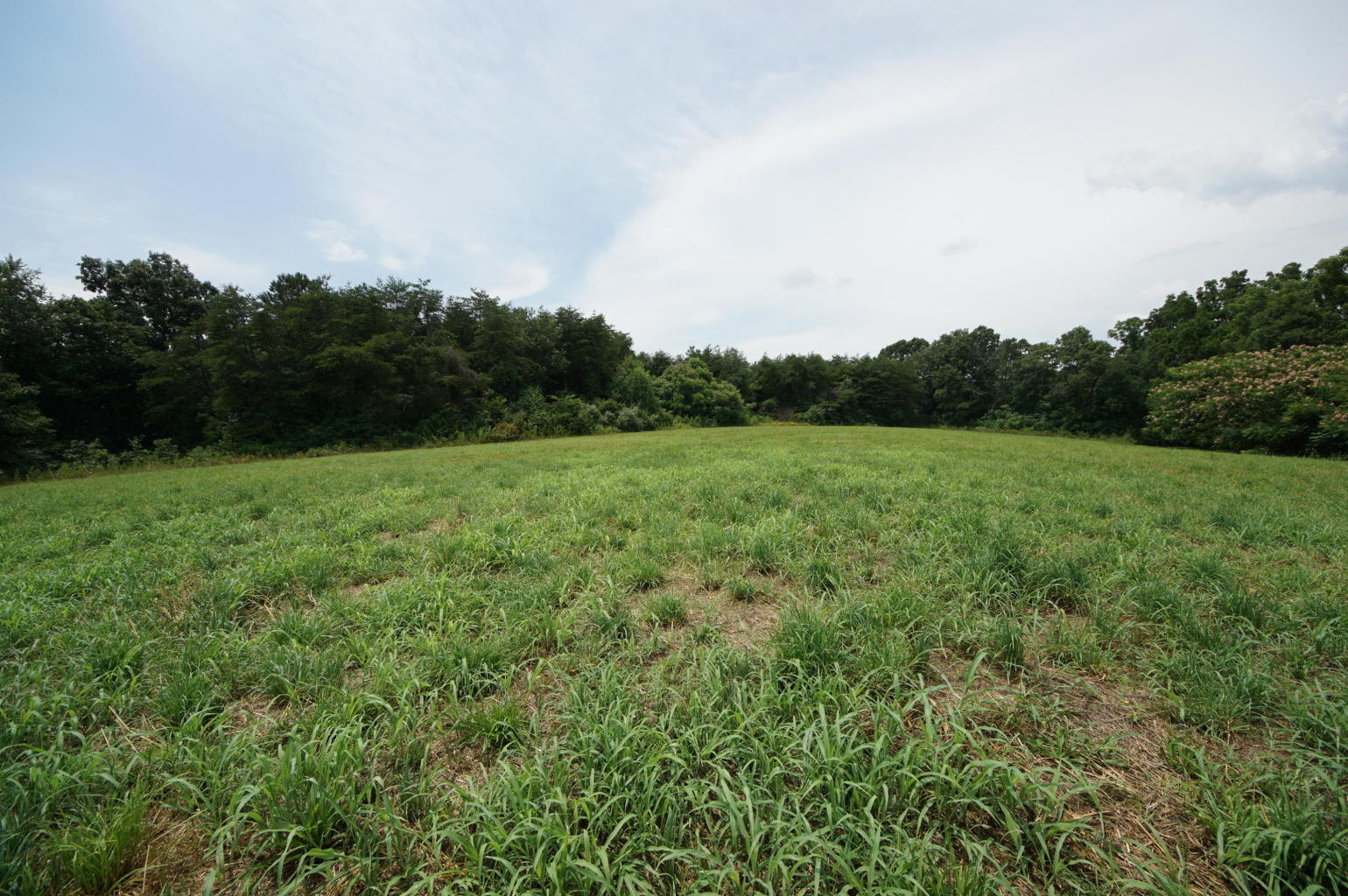 Noel Road Sweetwater, TN 37874 - Photo 11 of 23 Noel 11