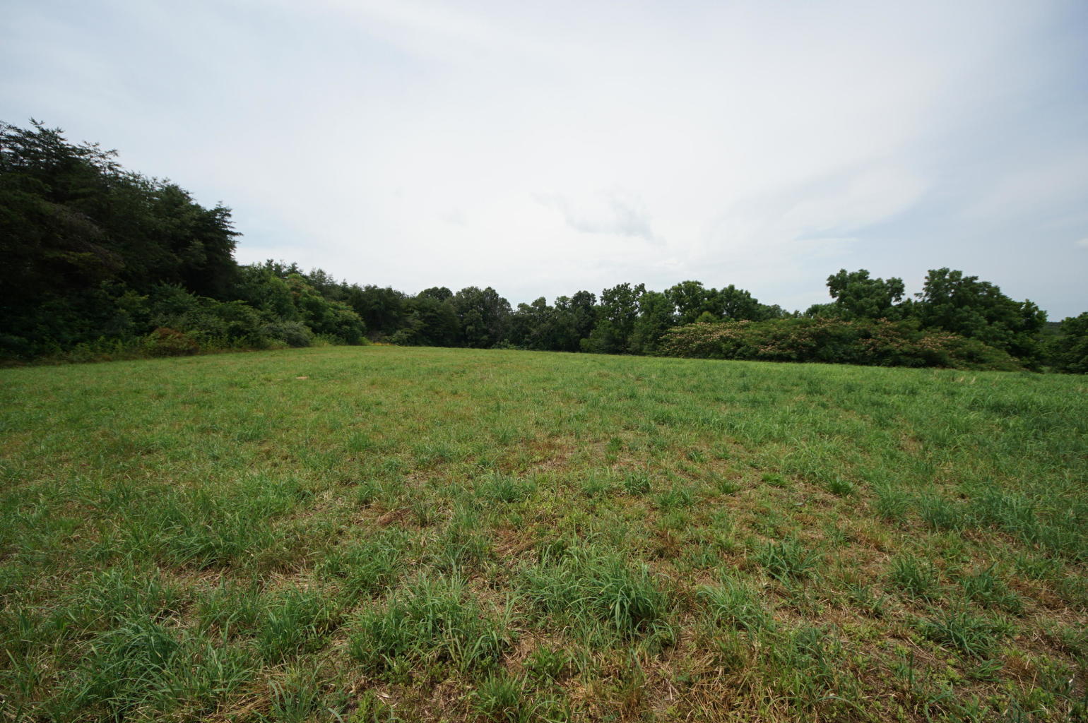 Noel Road Sweetwater, TN 37874 - Photo 12 of 23 Noel 12 - Copy