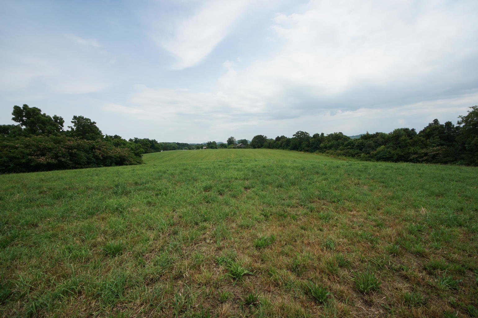 Noel Road Sweetwater, TN 37874 - Photo 14 of 23 Noel 14 - Copy