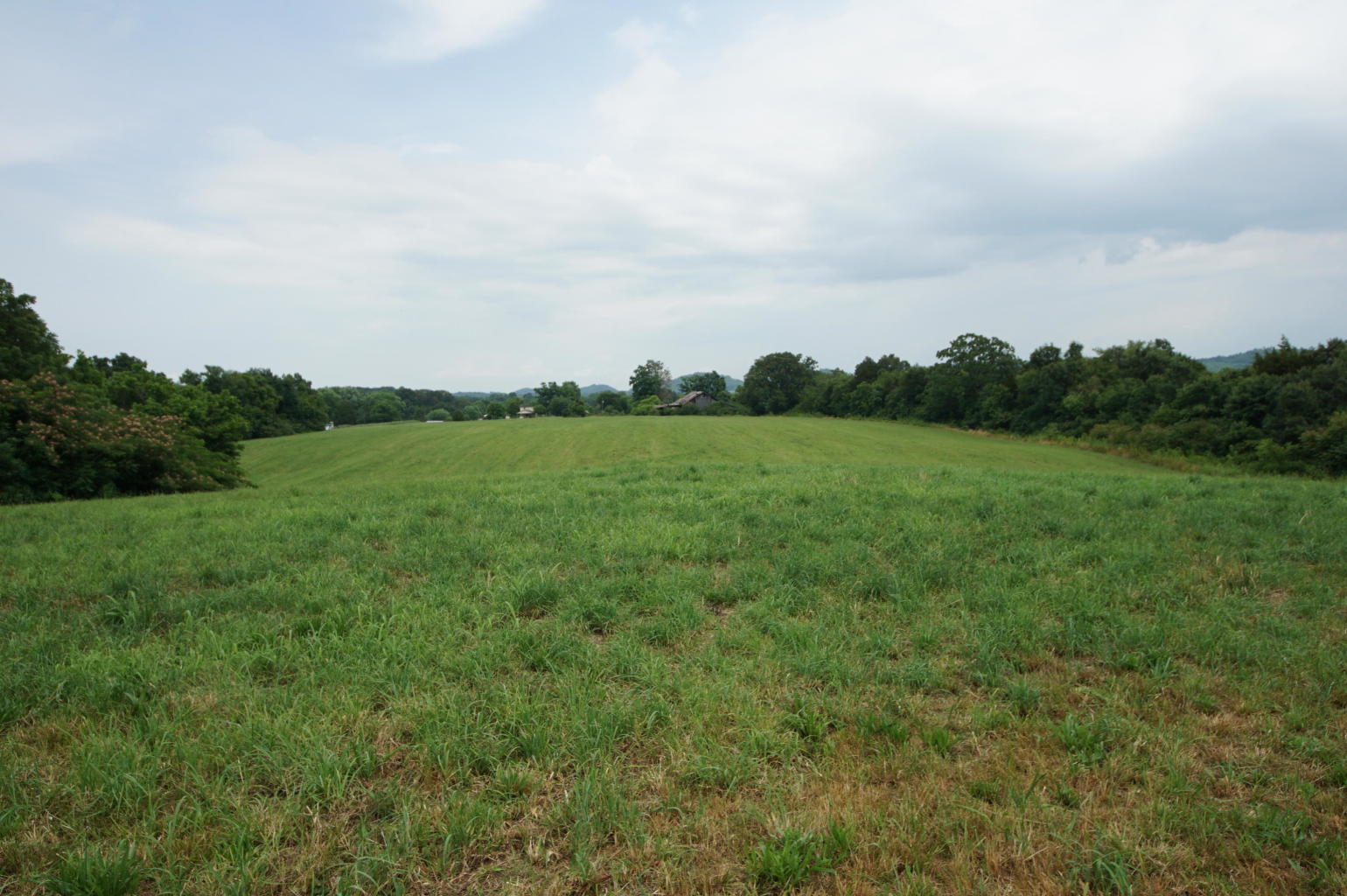 Noel Road Sweetwater, TN 37874 - Photo 15 of 23 Noel 15 - Copy