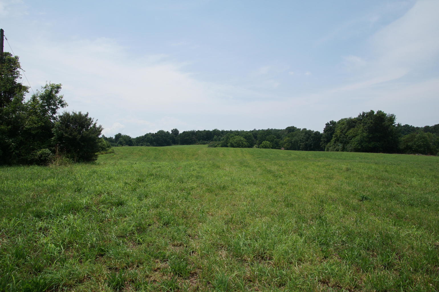 Noel Road Sweetwater, TN 37874 - Photo 16 of 23 Noel 16 - Copy