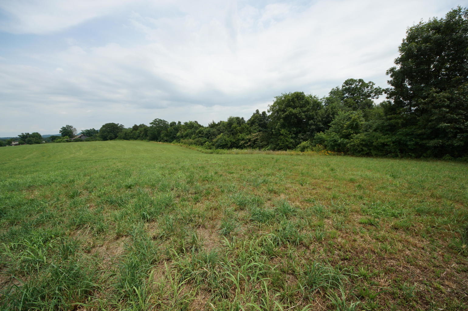Noel Road Sweetwater, TN 37874 - Photo 20 of 23 Noel 20 - Copy